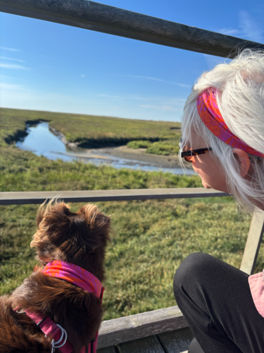 Eine Person und ein Hund blicken auf eine grüne Wiese und einen Fluss unter blauem Himmel.